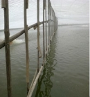 ��(y��u)�ʘ�ʹ�ð�����ۙ