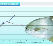 K~rҊqͶˮaǰء20195¿Јڅ