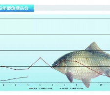 a~ҎrRˮaǰء20195¿Јڅ