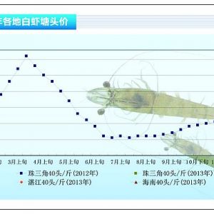 rrrϝq@ Bֳ{ˮĵӏˮaǰء20132¿Јڅ