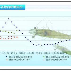 r߷ rrˮaǰء20135¿Јڅ