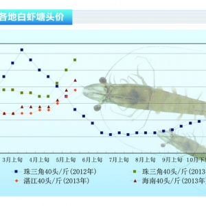 rrrm лڅݡˮaǰء20136¿Јڅ