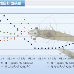 rƷr rrµˮaǰء20137¿Јڅ