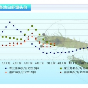 rBֳeOԲߡˮaǰء20138¿Јڅ