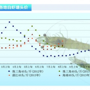 rƷr@oˮaǰء20139¿Јڅ