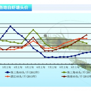 rAr rrµ ˮaǰء201311¿Јڅ