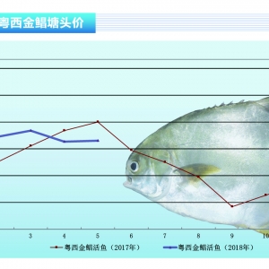 KA~rȫPϝqˮaǰء20186¿Јڅ