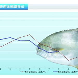 KrƷrȫϝqˮaǰء20189¿Јڅ