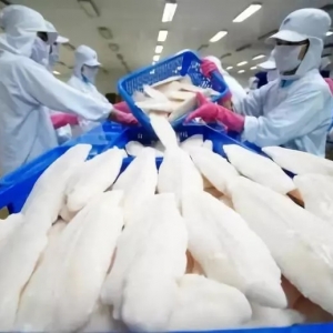 𱬣ɳ~rߵȫa(chn)ԟoMЈ󣬇(ni)B(yng)ֳ