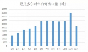 2019r(sh)tN׌y_(sh)fe
