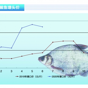 ~BֳԼгۣ~rµˮaǰء20207¿Јڅ