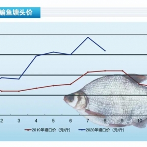 ~~Уf~βrٽˮaǰء20209¿Јڅ