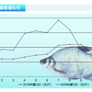 ~sͣʳ՚ڼˮaǰء202012¿Јڅ