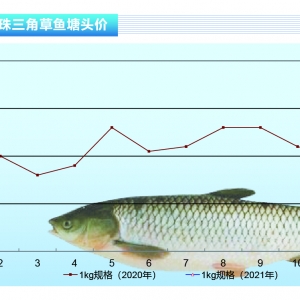 ~鷀(wn)՚̼^rqˮa(chn)ǰء20212¿Јڅ