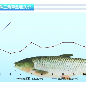 ~ȫȱ~m(x)qЃroСˮa(chn)ǰء20214¿Јڅ