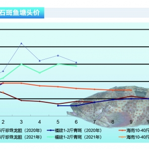 ʯ~~rµڅڷ(wn)ˮaǰء20217¿Јڅ