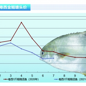 K~~12Ԫ/Խ~̝Åˮaǰء20218¿Јڅ