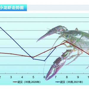 Сrrٴλ𱬡ˮaǰء20218¿Јڅ