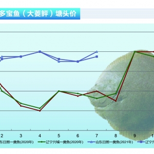 ~M(jn)ڣ~r(wn)ϝqˮa(chn)ǰء20218¿Јڅ