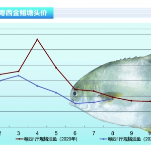 K~+~У~rmµˮaǰء20219¿Јڅ