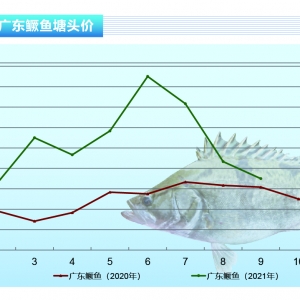 Z~~^rѸٻ䡪ˮaǰء202110¿Јڅ